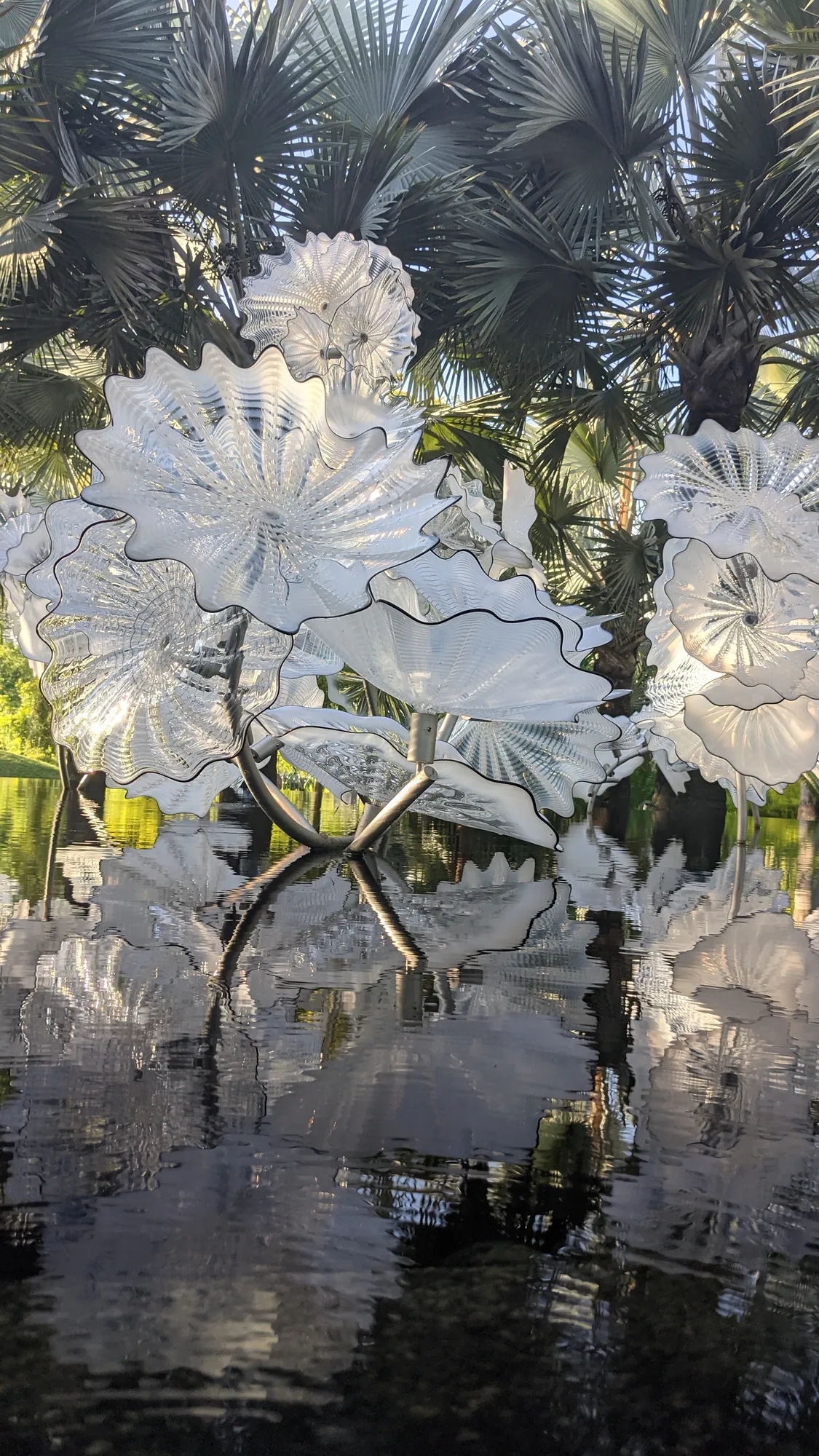 White glass flower sculptures rising out of dark water